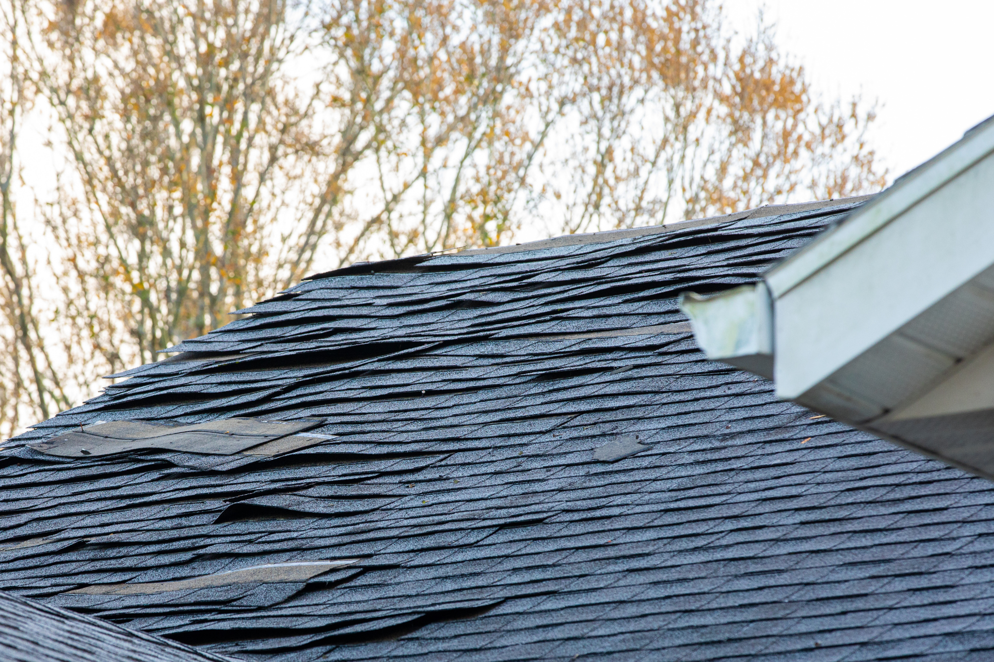 Roof Inspections - Storm Damage and Insurance Support